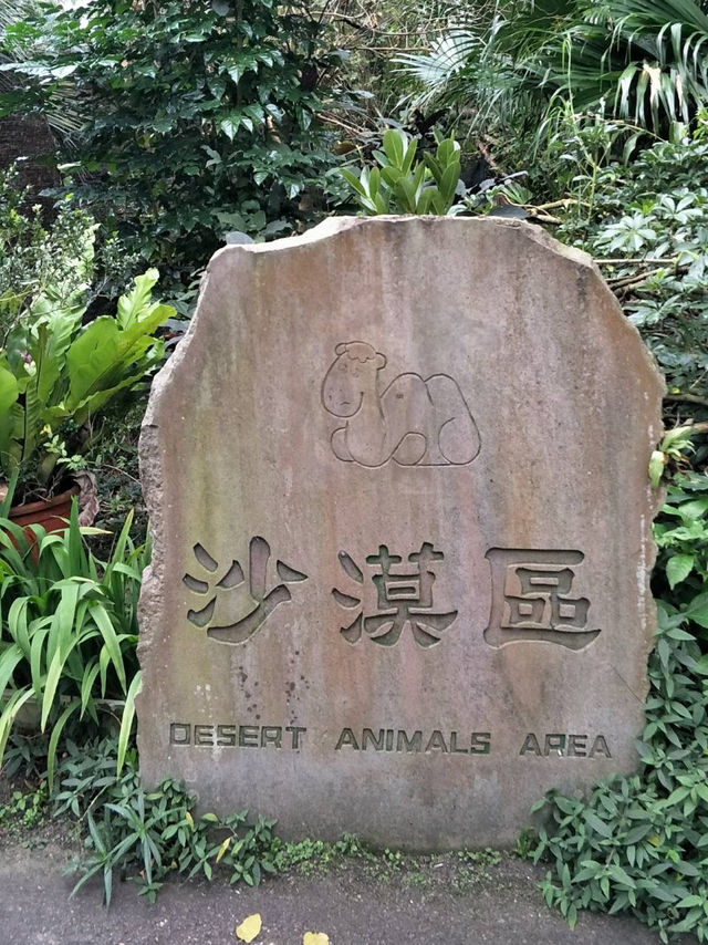 寓教於樂的親子天堂#臺北市立動物園-臺北市文山區