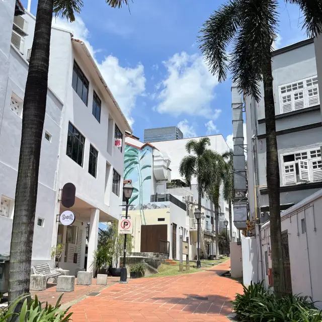 🏙️ Singapore's Hidden Soul: Where Skyscraper Shadows Meet Vibrant Backstreet Stories! 🌸