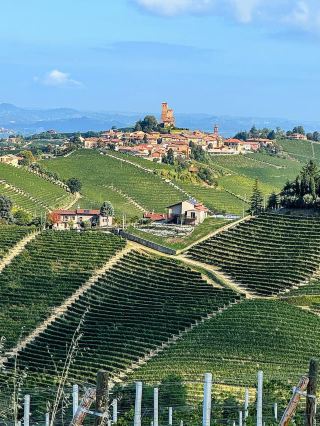 Savoring the Quiet Elegance of Barbaresco’s Wine Hills