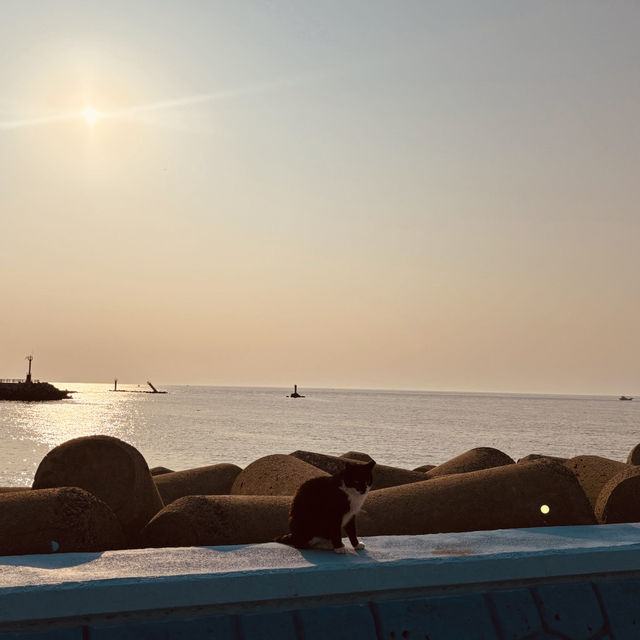 Ideal for Simple Beach Recreation