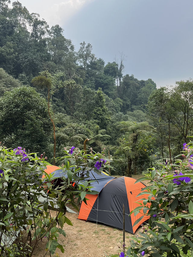 Curug Lembah Tepus - Pamijahan Bogor