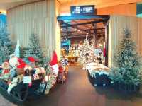 #搭聖誕列車前往聖誕老人故鄉追極光🎄 ～芬兰