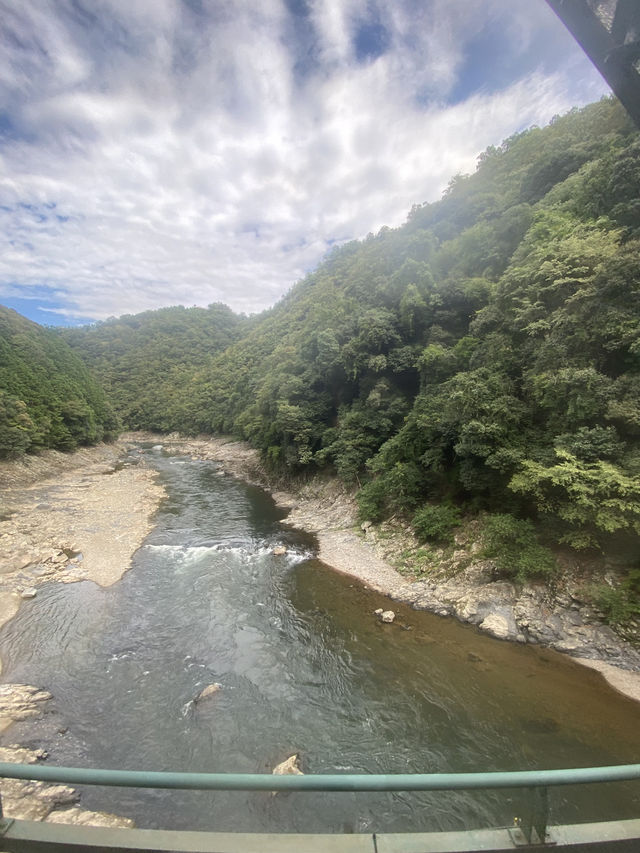 Kyoto Nature Escape🌳  