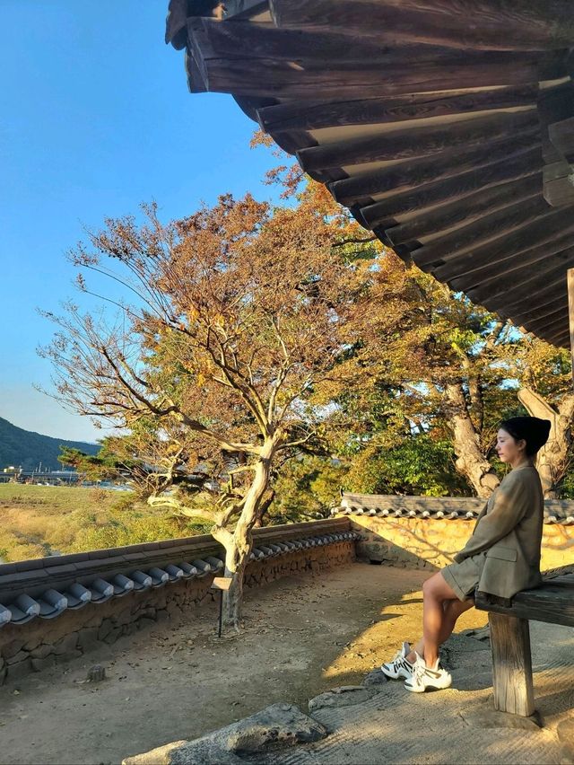 가을이 오면 꼭 가야할 은행나무명소💛