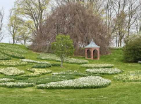 Winterthur Museum, Garden & Library