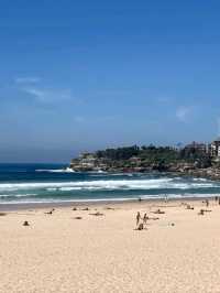 Sydney’s Sun Soaked Coastal Icon