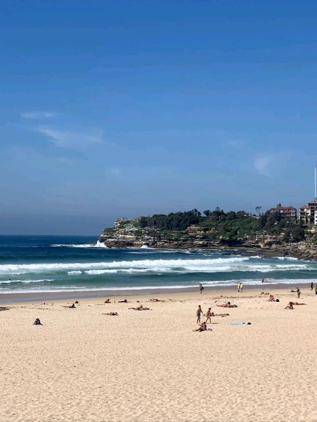 Sydney’s Sun Soaked Coastal Icon