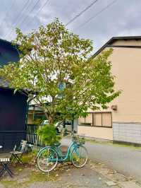 유후인노모리 타고 즐기는 유후인 여행 가이드 🚂🍂