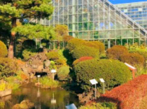 Discovering Nature’s Pharmacy at Tokyo Medicinal Plant Garden 🌿