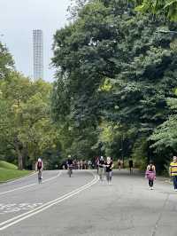도심 속 자연여행, 센트럴파크 산책