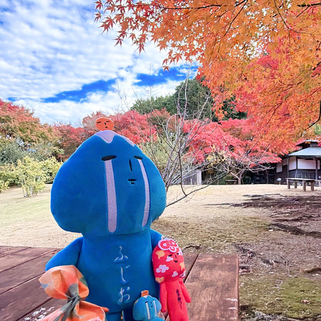 伊豆全景公園免費足湯、修善寺紅葉公園🍁