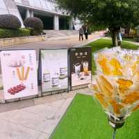 แพลนเที่ยว น้ำตกคุนหมิง