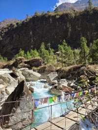 Where the Mountains Whisper: A Nilgiri Trekking Odyssey