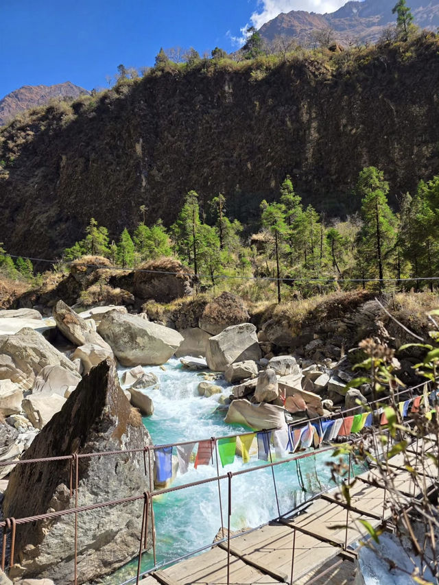 Where the Mountains Whisper: A Nilgiri Trekking Odyssey Where the Mountains Whisper: A Nilgiri Trekking Odyssey