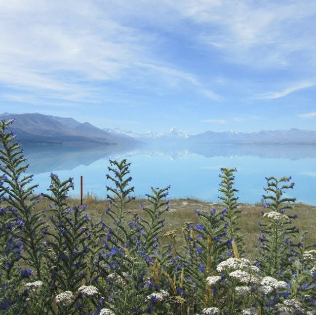 美到我想哭的普卡基湖藍