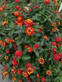 桃園一日偽歐洲!楊梅雅聞城堡莊園:免門票拍爆哥德式城堡建築群