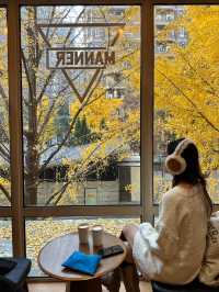 🍂 黃金城道步道｜銀杏滿開的季節 Manner有最佳窗景！