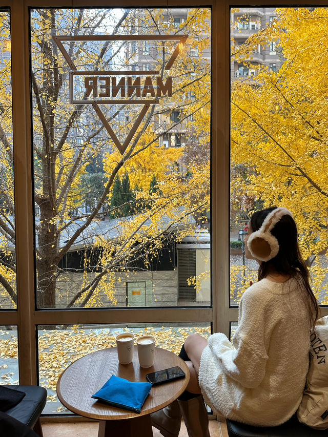 🍂 黃金城道步道｜銀杏滿開的季節 Manner有最佳窗景！