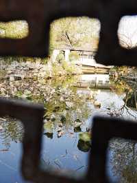 【拙政园】蘇州の秋を象徴するような🍁穏やかで美しい時間でした🍁