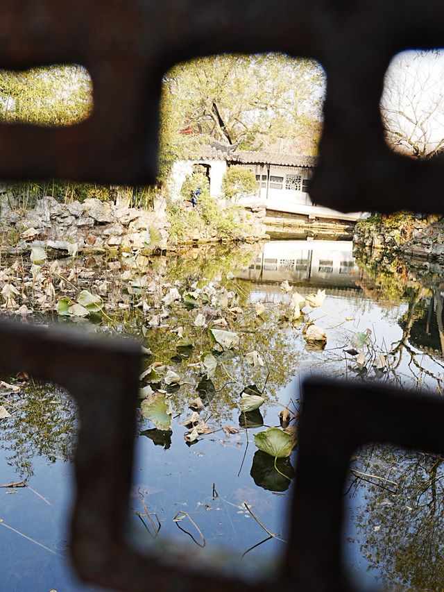 【拙政园】蘇州の秋を象徴するような🍁穏やかで美しい時間でした🍁 【拙政园】蘇州の秋を象徴するような🍁穏やかで美しい時間でした🍁