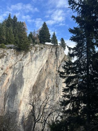 Hiking bliss in Mixnitz – the Drachenhöhle trail is seriously underrated for outdoor addicts! 🌲🔥 Imagine winding your way through dense, mossy woodlands (bring your camera: every turn is Insta-gold) and catching that perfect combo of sunbeams and leafy, earthy magic. The highlight? That epic trail up to the Roten Wand – highly recommend for hikers looking for jaw-dropping views and a satisfying challenge. 💪

Top Spots to Hit:
1. Drachenhöhle Mixnitz – 8131 Pernegg an der Mur, Austria. Open all year, but best on clear days. The cave itself has an awesome vibe, and the hike up there is pure forest therapy.
2. Roten Wand Ridge – Once you reach Drachenhöhle, push onwards to Roten Wand. The scenery flips from deep woods to wild cliffs with mountain panoramas. Not many tourists, so it’s peaceful!

Pro Hiking Insights: Start early (trail gets quiet and the moss is dewy); wear shoes with solid grip, especially if it’s rained – ground can get slick. Pack snacks, but keep it light for the climb! If you like rugged forest feels, this route is a dream.

Getting Around: Best with a rental car to Mixnitz, but public transit via Pernegg an der Mur station works too (just budget extra time for connections).

Food Fix: Post-hike, Mixnitz’s local gasthaus are top for schnitzel and cold beer (try Gasthaus Mixnitz near the station – authentic and affordable).

Key Destination Tips: Cash is king in tiny villages! Weather flips fast; light rain jacket = essential. Entrance to Drachenhöhle is free, but tip the staff if you join a tour.

#MixnitzTrails #AustriaNature #Drachenhoehle #HikingGoals #TripDotCom