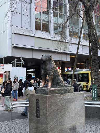 Symbol of meeting, Hachiko Square. | Trip.com Tokyo