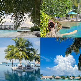 ISLAND LIFE UNLEASHED: Live the Tropical Fantasy