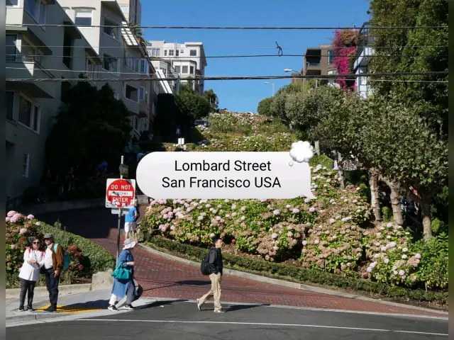 A Must-Visit Spot: Lombard Street, San Francisco, USA.