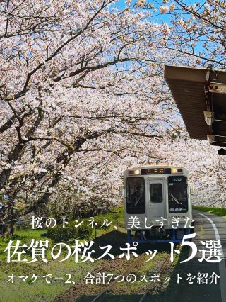 美しすぎる佐賀県の穴場桜スポット🌸5選｜補足情報はこちら👇
