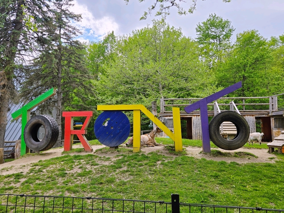 ดูระบบนิเวศของหมีที่สวนสัตว์โทรอนโต (Toronto Zoo) แบบห้ามพลาด