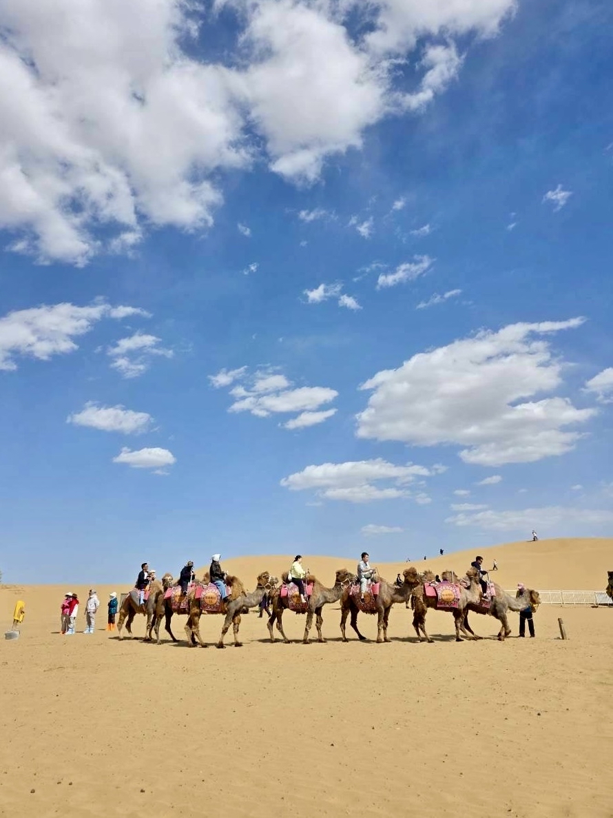 Kubuqi Desert (库布其沙漠): Exploring the Sands of Inner Mongolia.