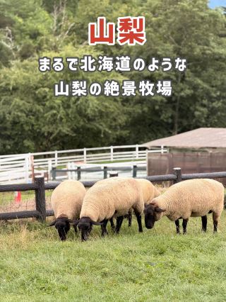 【山梨】欣賞絕美風景，邂逅可愛動物，療癒身心！清裡町熱門景點🐏🌿✨