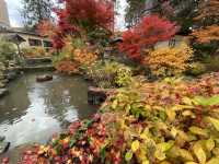 【北海道・小樽】紅葉の中に泊まる🍁 2度訪れたくなった温泉宿「おたる宏楽園」