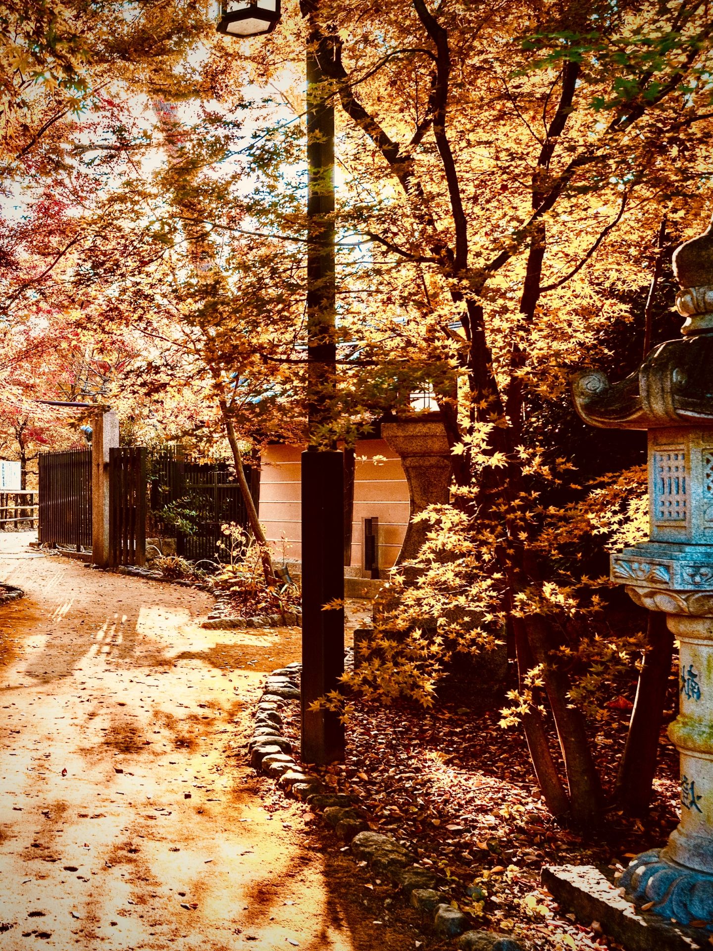Saga’s Yutoku Inari Shrine Hillside Approach