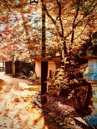 Saga’s Yutoku Inari Shrine Hillside Approach