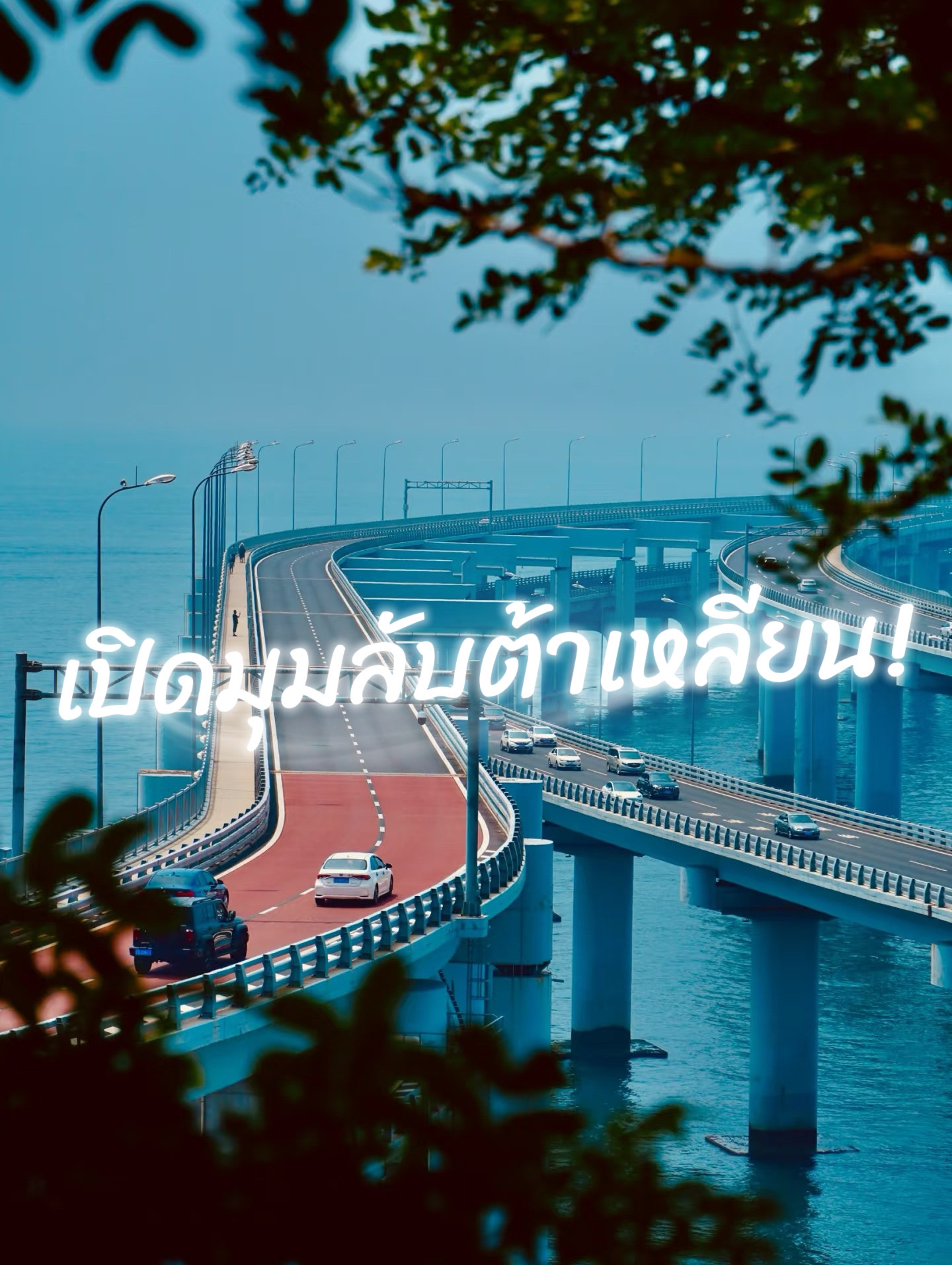 大连打卡：ต้าเหลียนมุมนี้ ต้องไป! 🚠🌊 