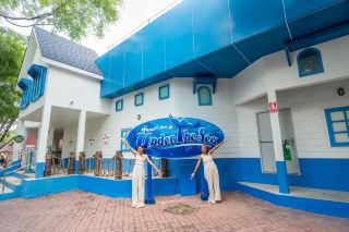 Dream World 新園區 𝗨𝗻𝗱𝗲𝗿 𝗧𝗵𝗲 𝗦𝗲𝗮。