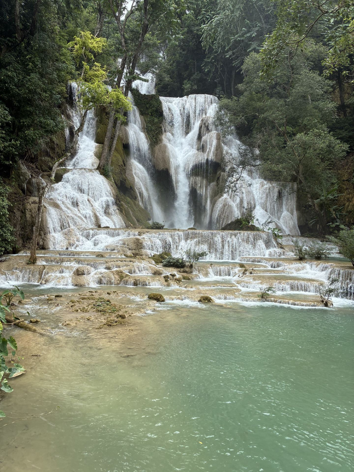 [Lào 🇱🇦] Ngay cả trong mùa mưa, thác Kuang Si ở Luang Prabang vẫn mang đến khung cảnh ngoạn mục!