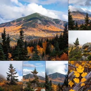 A View Over the Fall Colors
