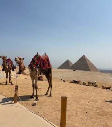 エジプト：ファラオの地を巡る旅 | Trip.com ギザ