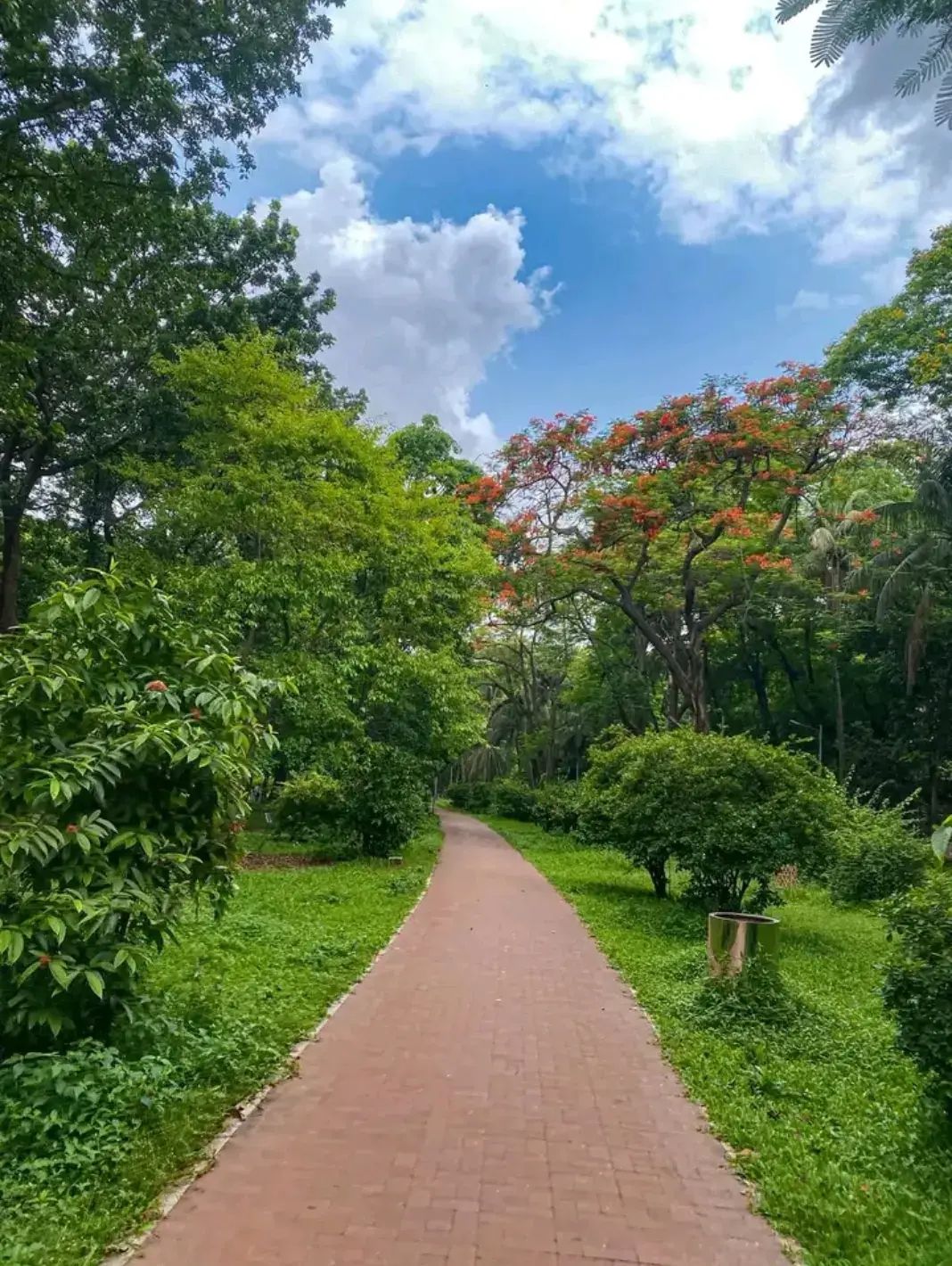 Dhaka’s Ultimate Chill Day at Ramna Park 🇧🇩 🌳✨