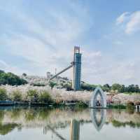 Lost in the Sea of flowers and Cherry Blossom