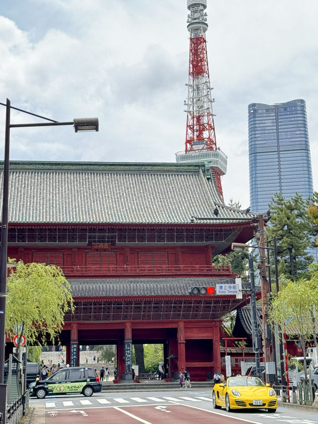 東京鐵塔🗼6個免費拍照地點