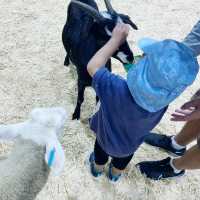Family Must! Sydney Royal Easter Show 