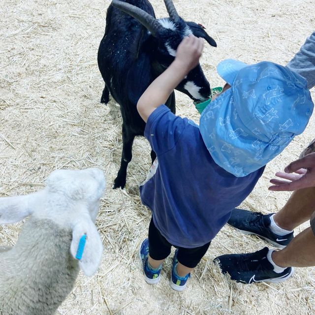 Family Must! Sydney Royal Easter Show 