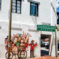 The colourful streets of Singapore 