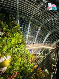 🇸🇬 A date at the Heart-shaped suspended sky walk