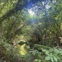 Trekking through Etruscan ruins