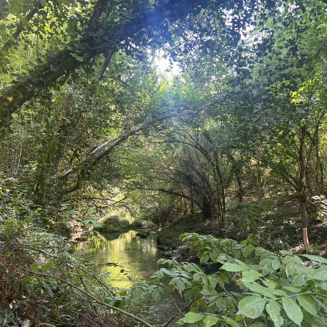 Trekking through Etruscan ruins