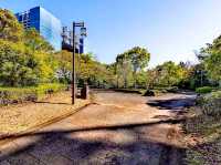 青海南埠頭公園